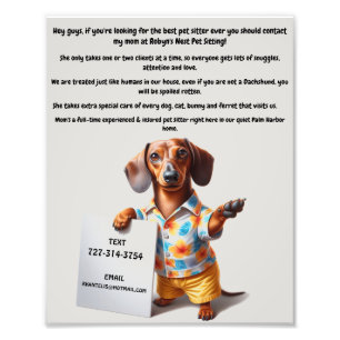 Poster hund Sitter