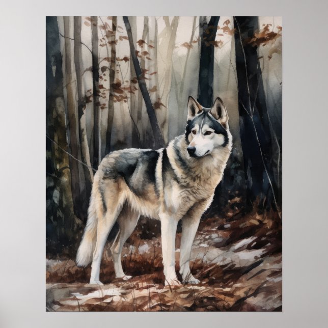 Poster Hund-utskrift i Siberian husky (Framsidan)