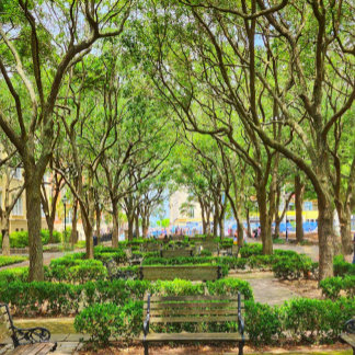 Poster i centrala Charleston, SC Byggnader