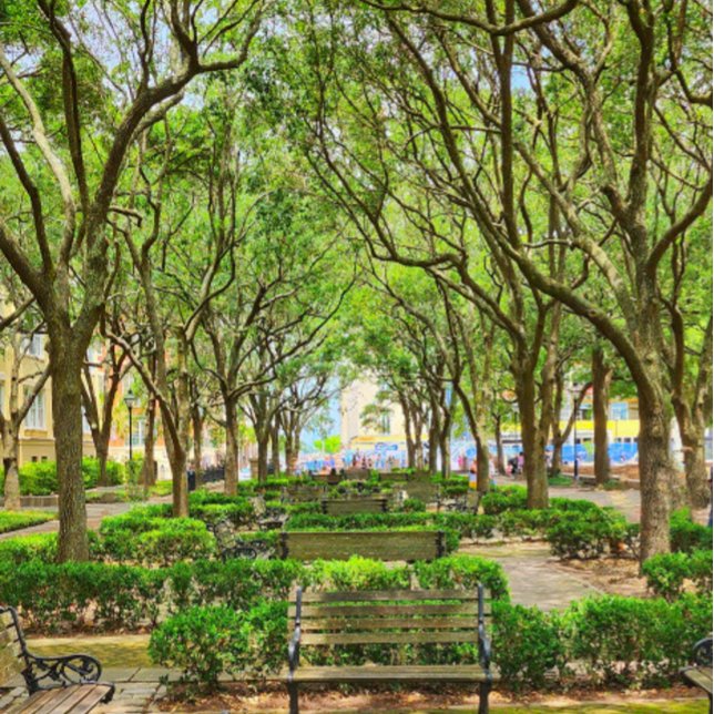 Poster i centrala Charleston, SC Byggnader (Skapare uppladdad)