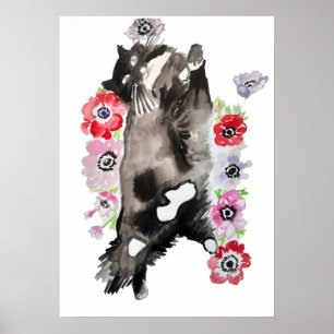 Poster i Cute Sleeping Black White Tuxedo Cat Cats