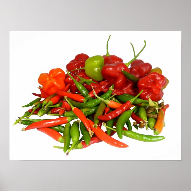 Poster i färskpickade chillies (Framsidan)