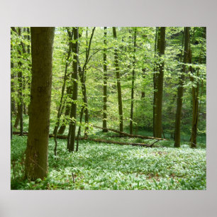 poster i flytande skog