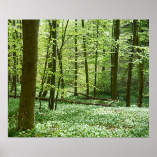 poster i flytande skog