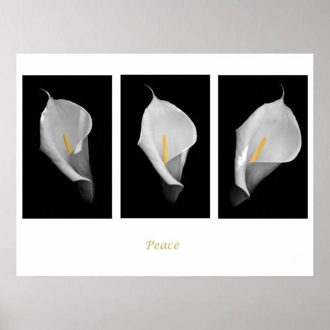 Poster i fred (Framsidan)