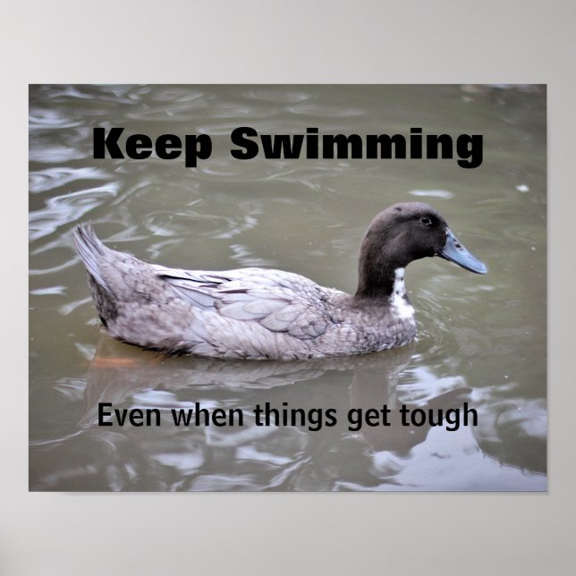 Poster i Perseverance Classroom (Framsidan)