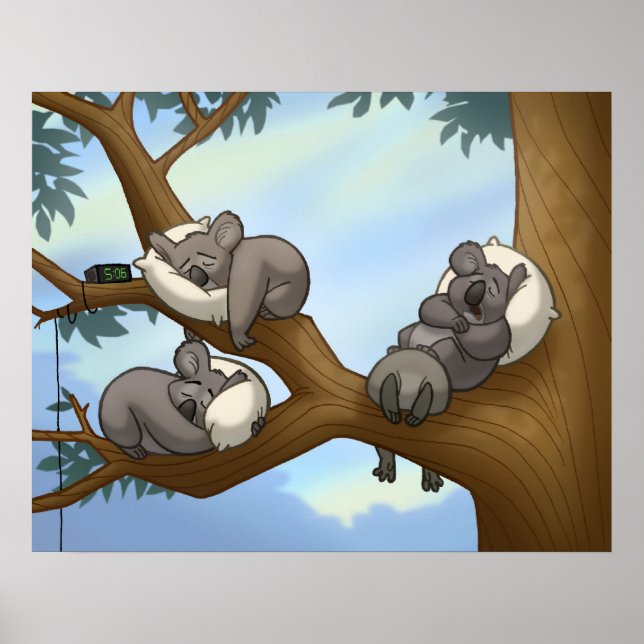 Poster i Sleeping Koala (Framsidan)