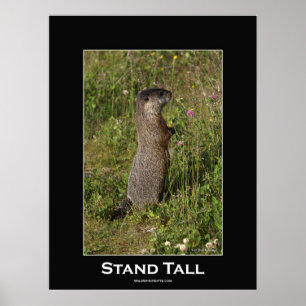 Poster i stand Tall Motivational