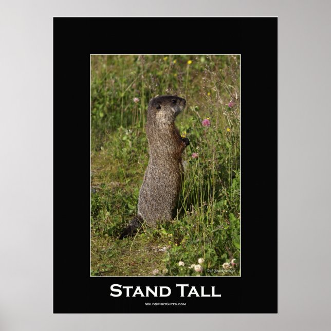 Poster i stand Tall Motivational (Framsidan)