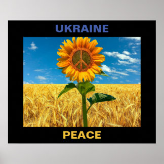 Poster i Ukraina - 24" x 20"