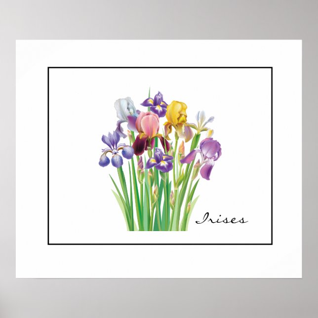Poster-Irises Poster (Framsidan)