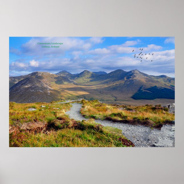 Poster Irland (Framsidan)