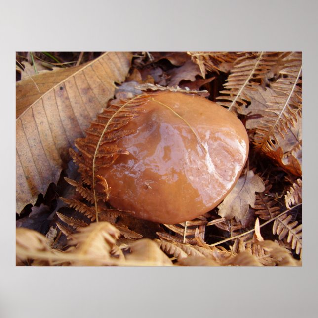 Poster Jack för bildspel (Framsidan)