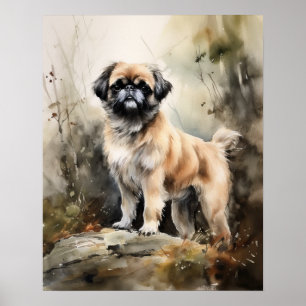 Poster japansk Chin Hund Art-utskrift