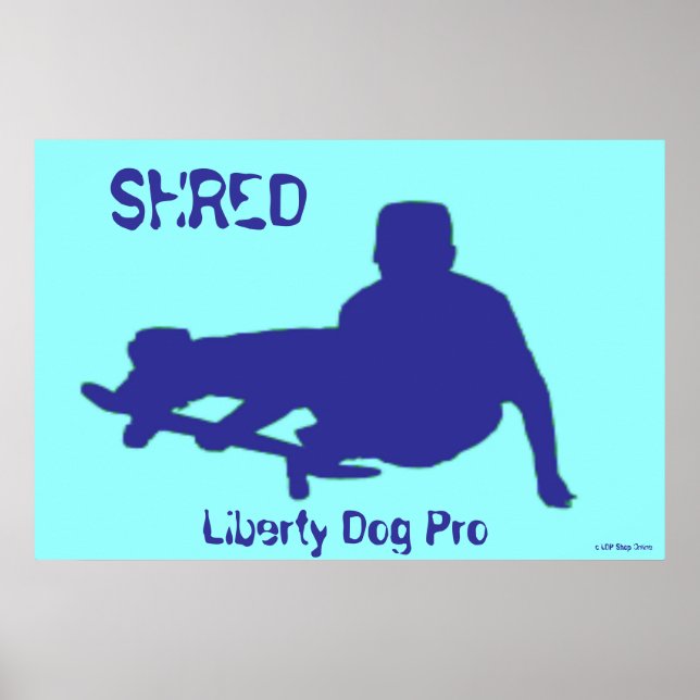 POSTER KÄRNSTORLEKADE SKATEBOARING - INSIDA DEC (Framsidan)