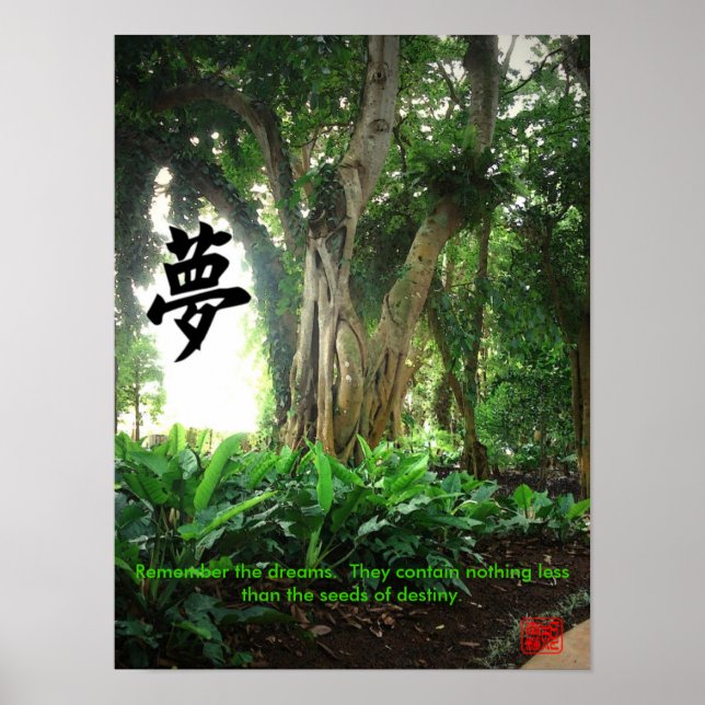 Poster: Kom ihåg drömmarna. .. Poster (Framsidan)