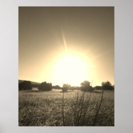 POSTER KONST OCH DESIGN STILAR