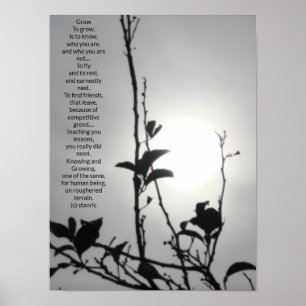 POSTER KONT AND DESIGN STILAR