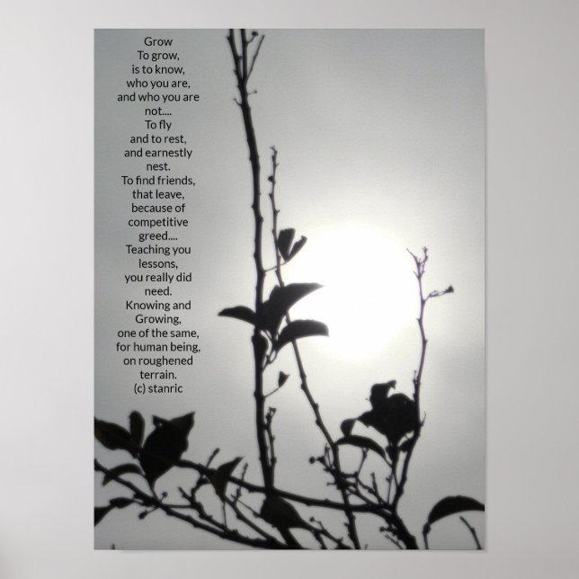 POSTER KONT AND DESIGN STILAR (Framsidan)