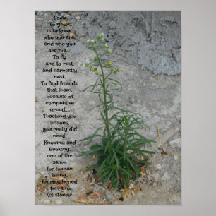 POSTER KONT AND DESIGN STILAR