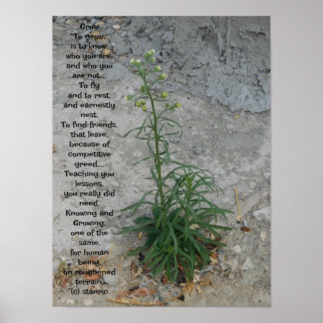 POSTER KONT AND DESIGN STILAR (Framsidan)