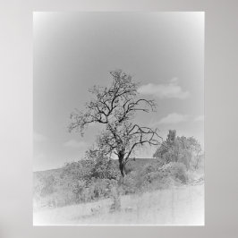 POSTER KONT AND DESIGN STILAR