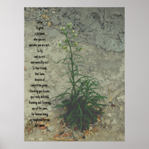 POSTER KONT AND DESIGN STILAR