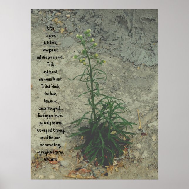 POSTER KONT AND DESIGN STILAR (Framsidan)