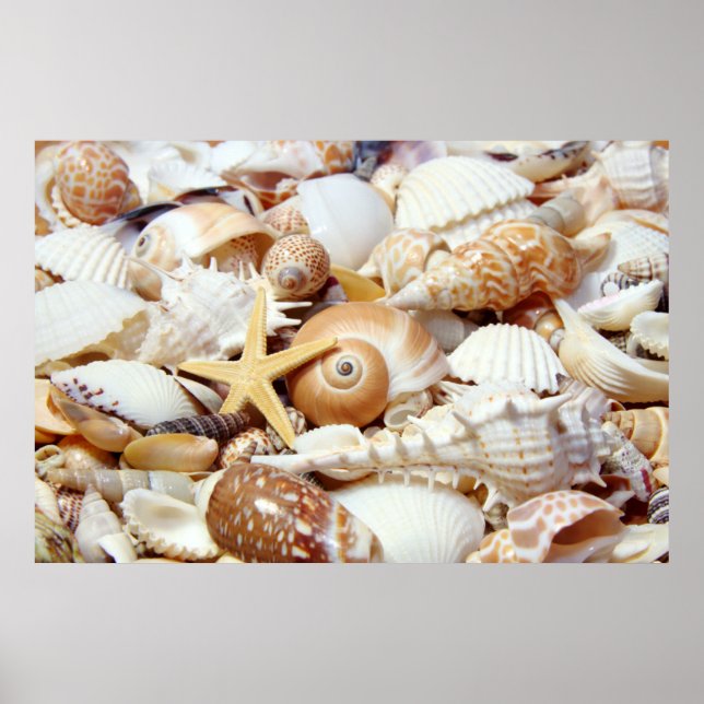 Poster kontrollceller (Framsidan)