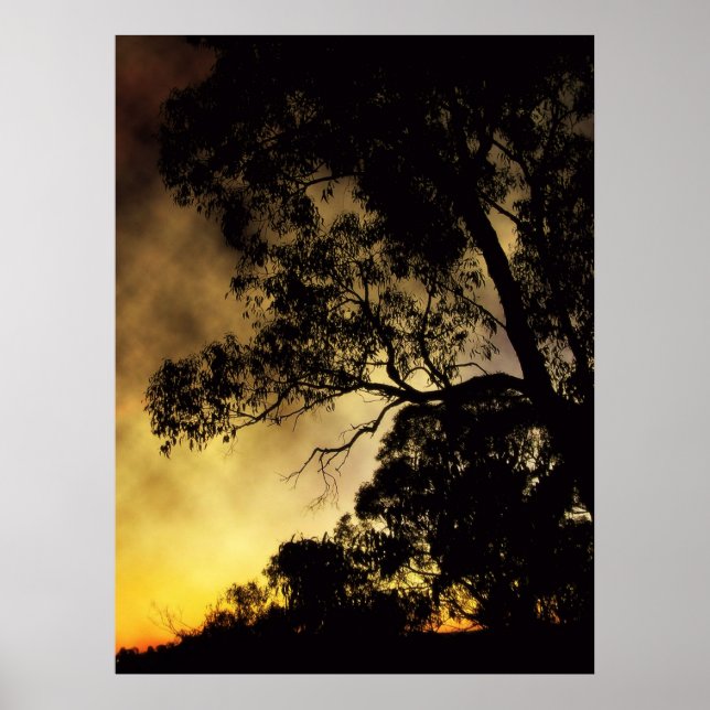 Poster kvällslappar (Framsidan)