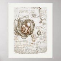 POSTER: LEONARDO DA VINCI: STUDIE 1510 - 1513