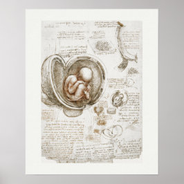 POSTER: LEONARDO DA VINCI: STUDIE 1510 - 1513 POSTER