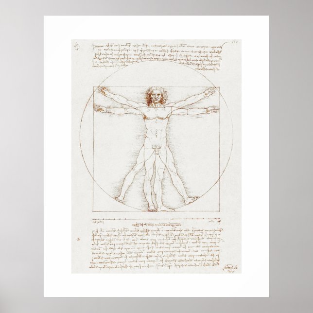 POSTER: LEONARDO DA VINCI: VITRUVIAN MAN POSTER (Framsidan)