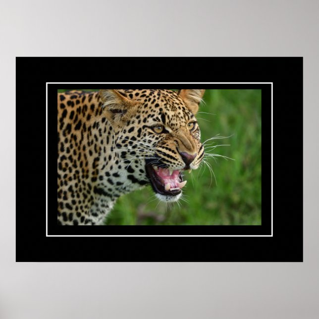 Poster Leopard (Framsidan)