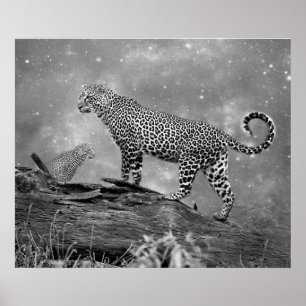 Poster/leoparder i rymden poster