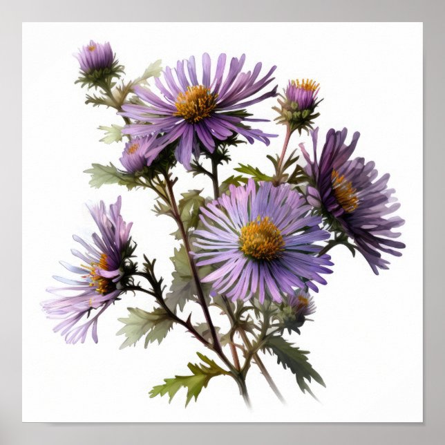 Poster lila Aster Flower Art-utskrift (Framsidan)