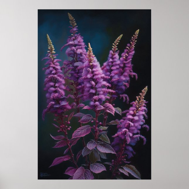 Poster lila Astilbe Flower Art-utskrift (Framsidan)