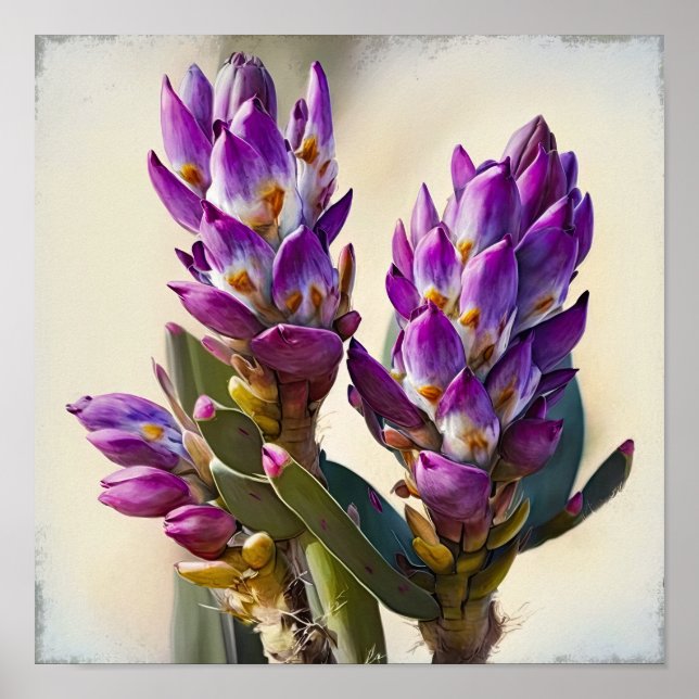 Poster lila Curcuma Flower Art-utskrift (Framsidan)