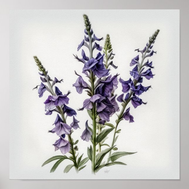 Poster lila Larkspur Flower Art Print (Framsidan)