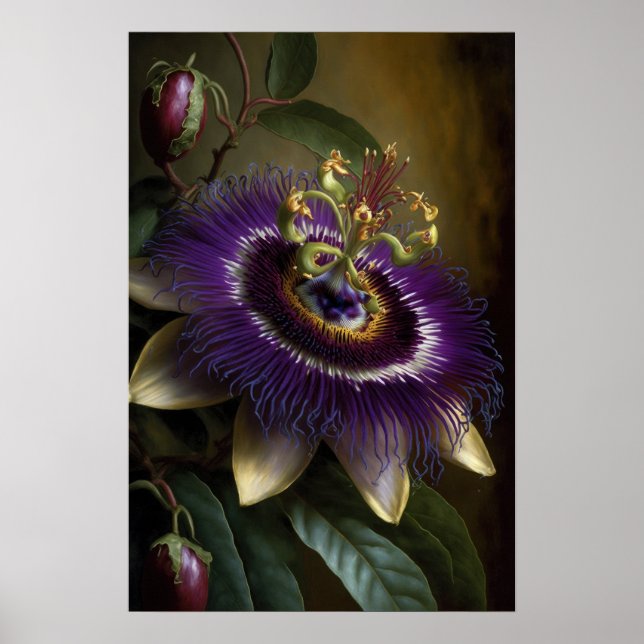Poster lila Passion Flower Art-utskrift (Framsidan)