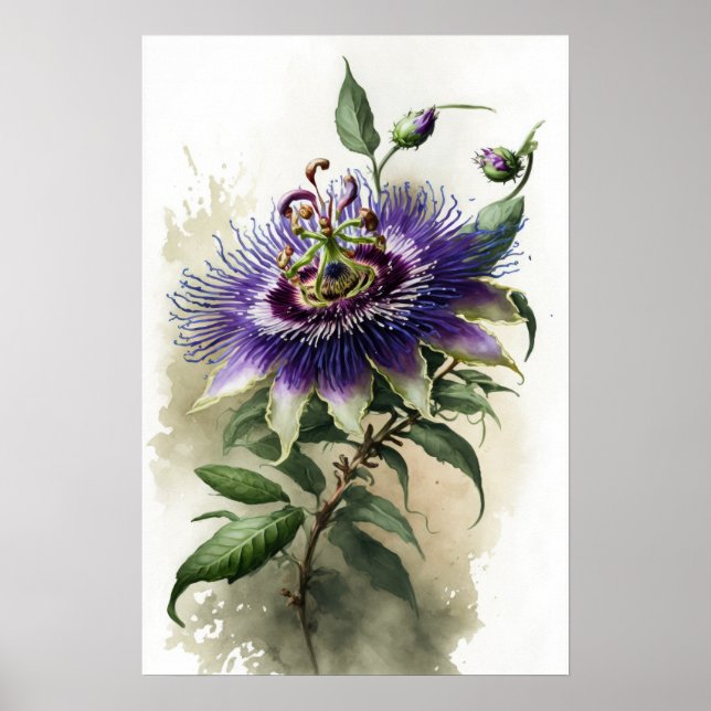 Poster lila Passion Flower Art-utskrift (Framsidan)