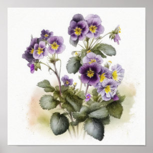 Poster lila Primrose Flower Art Print