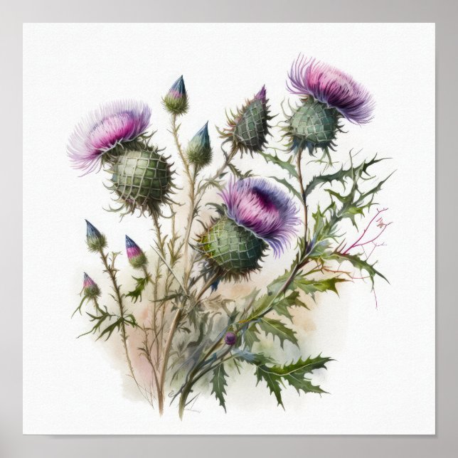Poster lila - Thistle Flower Art-utskrift (Framsidan)