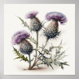 Poster lila - Thistle Flower Art-utskrift