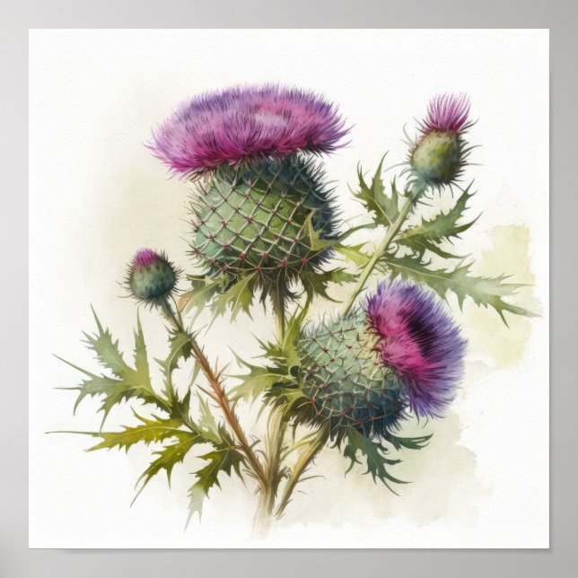 Poster lila - Thistle Flower Art-utskrift (Framsidan)