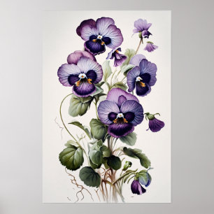 Poster lila Violas Flower Art Print