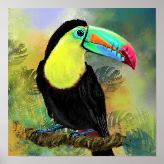 Poster målning av Toco Toucan Bird (Framsidan)
