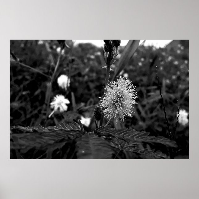 Poster Maria fecha a porta  - dark (Framsidan)