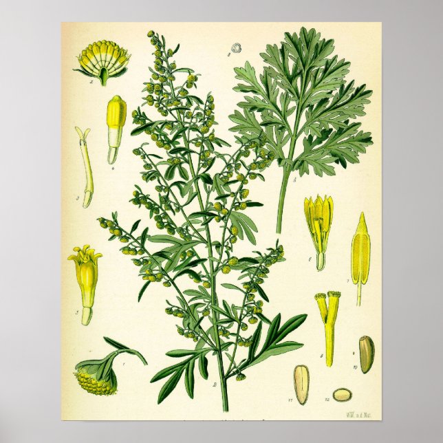 Poster maskträ (Framsidan)