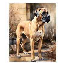 Poster Mastiff Hund Art-utskrift